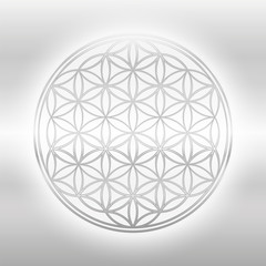 Flower of Life, silver glance symbol on silvery background.