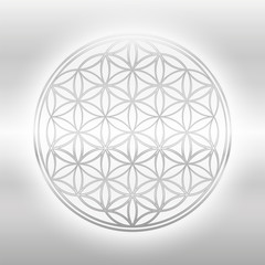 Flower of Life, silver glance symbol on silvery background.