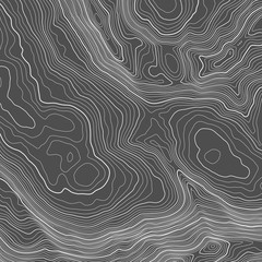 Vector contour topographic map background. Topography and geography map grid abstract backdrop. Business concept. Vector illustration