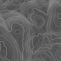 Fototapeta premium Tło wektor kontur mapy topograficznej. Topografia i geografia mapa siatki streszczenie tło. Pomysł na biznes. Ilustracji wektorowych