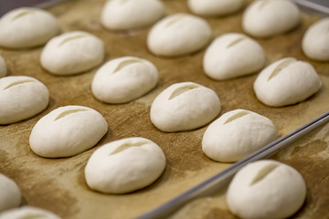A close-up of   buns before baking
