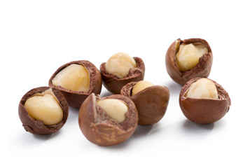 Macadamia nut on white background