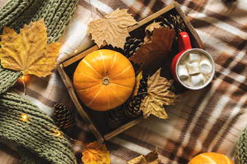 Autumn still life from tray full of pumpkin, leaves, cones, scarf, mug of cocoa, coffee or hot chocolate with marshmallow on plaid with garland. Concept warm home comfort.