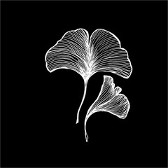 Vector of leaves ginkgobiloby. Black and white drawing by hand. Idea for tattoo.