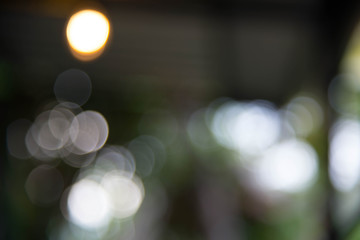 Nature bokeh from green leave tree and sun light. Wall paper texture and background.