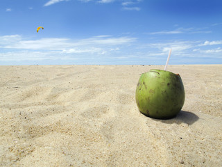 Green coconut on beach with blue sky - vacation