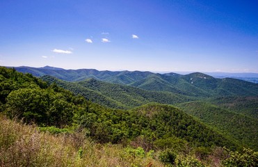 looking out over shenandoah forest