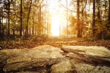 Autumn place of forest and stone 