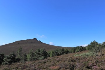 Mountain top, blue sky and fir trees