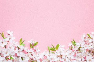 Fresh branches of cherry white blossoms on pastel pink background. Soft light color. Mockup for special offers as advertising or other ideas. Empty place for inspirational, motivational text or quote.