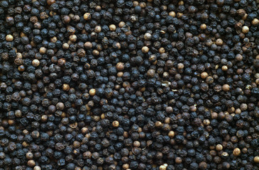 Black pepper close-up with blur effect.