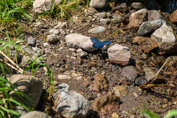 Obraz premium 湯川広戸橋