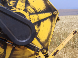 Combine harvester on a wheat field