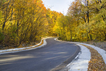 Fototapeta premium Autumn curvy road