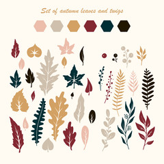 Set of autumn leaves and twigs