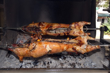 Spanferkelgrill