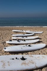 white boards for Windsurfing on the ocean coast