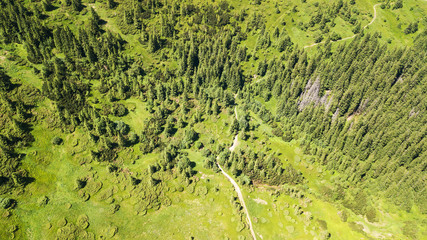 Aerial view of the footpath in the Carpathian Mountains