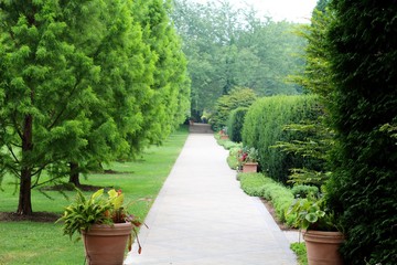 The long empty walkway of the garden in the park.