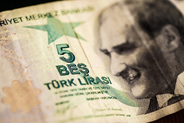 Turkish Lira (Turkish Turk Parasi)
