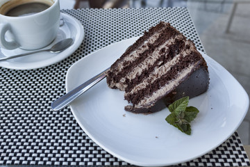 A piece of cake in chocolate glaze sideways and mint leaves. Dark layers alternate with light