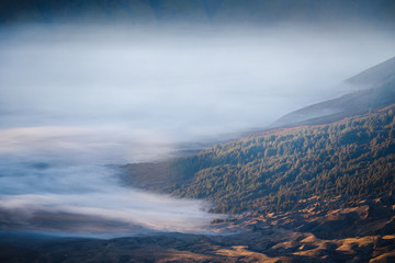 closeup morning fog from mountain bromo tengger semeru national park, East Java, Indonesia.
