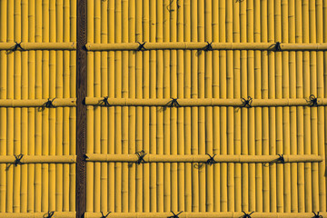 Bamboo background.