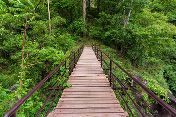Wood bridge over the river to forest