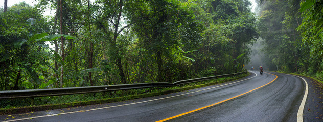 Panoramic asphalt road and forest