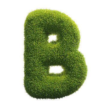 Grass font 3d rendering letter B