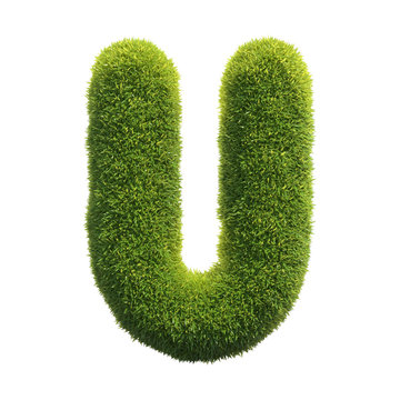 Grass font 3d rendering letter U