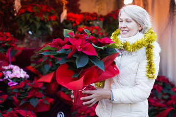 Woman is preparing for Christmas and choosing red bouqet for present