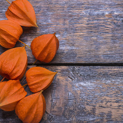 Organic orange fruit Physalis on a wooden background.