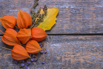 Colorful october physalis fruits with dry blue flowers, yellow tree leaf on a wooden background