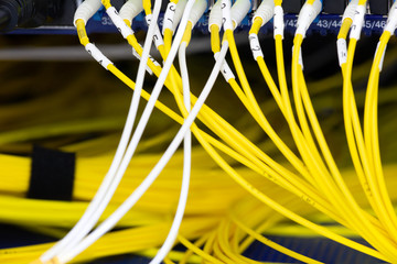 Close up fiber optic in server room , network cables installed in the rack Abstract image for use...