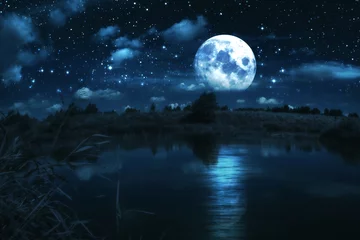 Photo sur Plexiglas Pleine Lune arbre Pleine lune sur la rivière