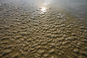 Wattenmeer