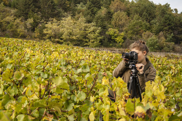 photographier dans les vignes
