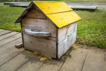 Old wooden house for dogs