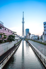 TOKYO, JAPAN - June 22, 2018: Tokyo Sky Tree, sunset and blue sky. Tokyo Sky Tree is one of the famous landmark in Tokyo. It is the tallest structure in world when built.