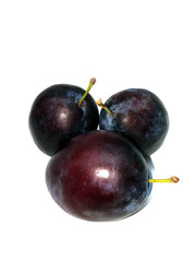 Frische Pflaumen freigestellt auf weißem Hintergrund