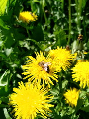 Processed with VSCO with  preset