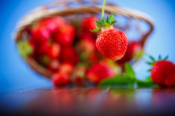 ripe red organic strawberry on a blue background