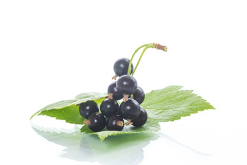 ripe berries black currant on white background