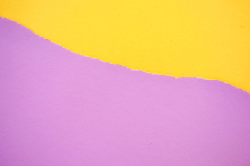 Background of violet and yellow pastel colors. Flat lay color paper.