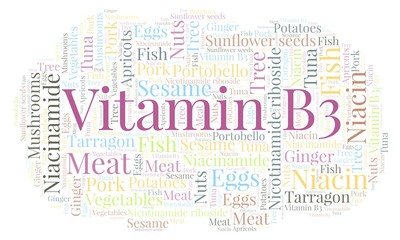 Fototapeta premium Vitamin B3 word cloud.