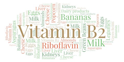 Obraz premium Vitamine B2 word cloud.