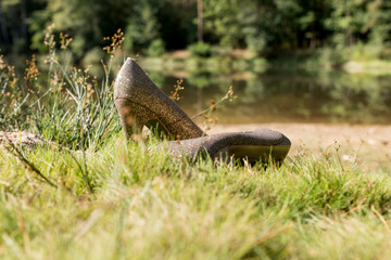 Golden high shoes of a woman in the grass at the beach. Missing woman