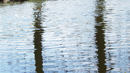 reflection of trees in river water