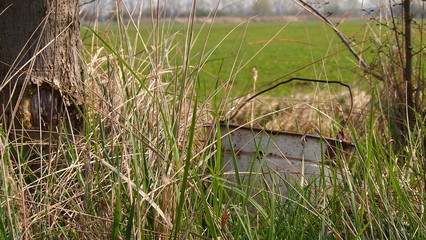 old metal bucket hidden in grasses next to river